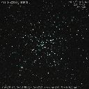 M41