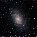 M33