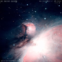 M43