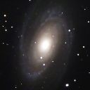 M81