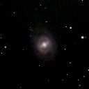 M95
